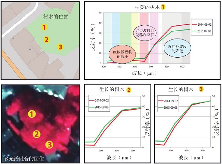 衛(wèi)星遙感數(shù)據(jù)是怎樣獲取的？如何從中提取有用信息？