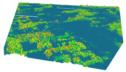 DEM、DSM 和 DTM 的區別——GIS 中的高程模型 DEM、DSM 和 DTM 的區別——GIS 中的高程模型