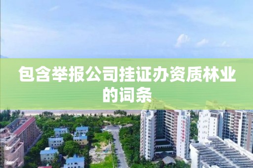 包含舉報公司掛證辦資質林業的詞條
