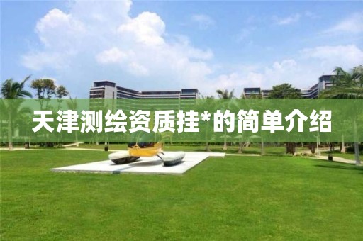 天津測繪資質(zhì)掛*的簡單介紹