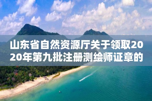 山東省自然資源廳關于領取2020年第九批注冊測繪師證章的公告