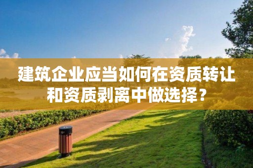 建筑企業(yè)應(yīng)當(dāng)如何在資質(zhì)轉(zhuǎn)讓和資質(zhì)剝離中做選擇？