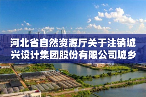 河北省自然資源廳關于注銷城興設計集團股份有限公司城鄉規劃編制乙級資質的公告