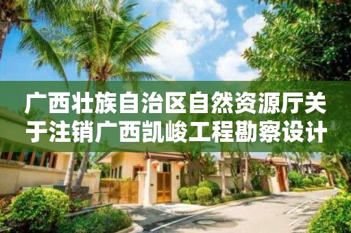 廣西壯族自治區(qū)自然資源廳關(guān)于注銷廣西凱峻工程勘察設(shè)計(jì)有限公司測繪資質(zhì)的公告