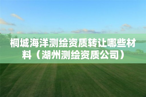 桐城海洋測繪資質(zhì)轉(zhuǎn)讓哪些材料（湖州測繪資質(zhì)公司）