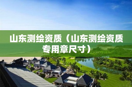 山東測繪資質（山東測繪資質專用章尺寸）