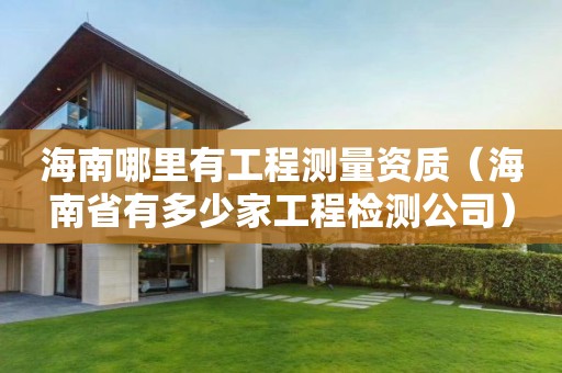 海南哪里有工程測量資質(zhì)（海南省有多少家工程檢測公司）