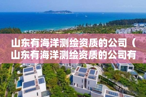 山東有海洋測繪資質(zhì)的公司（山東有海洋測繪資質(zhì)的公司有哪些）