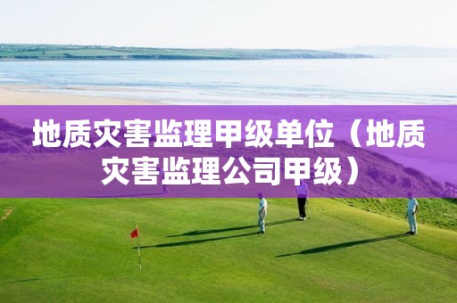 地質(zhì)災(zāi)害監(jiān)理甲級(jí)單位（地質(zhì)災(zāi)害監(jiān)理公司甲級(jí)）