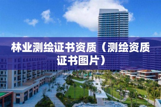 林業(yè)測繪證書資質(zhì)（測繪資質(zhì)證書圖片）