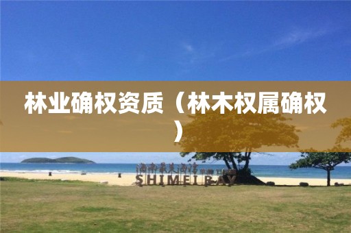 林業(yè)確權資質（林木權屬確權）