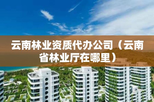 云南林業(yè)資質(zhì)代辦公司（云南省林業(yè)廳在哪里）