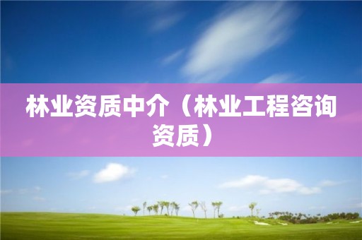 林業資質中介（林業工程咨詢資質）