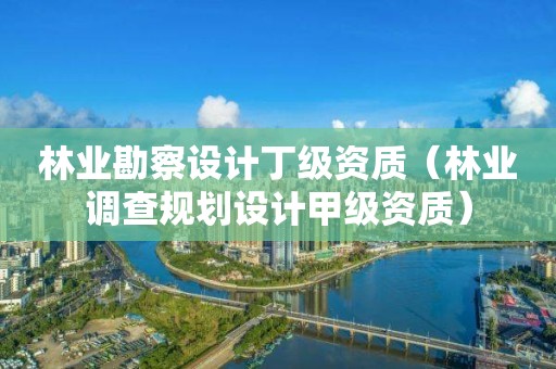 林業(yè)勘察設(shè)計(jì)丁級(jí)資質(zhì)（林業(yè)調(diào)查規(guī)劃設(shè)計(jì)甲級(jí)資質(zhì)）