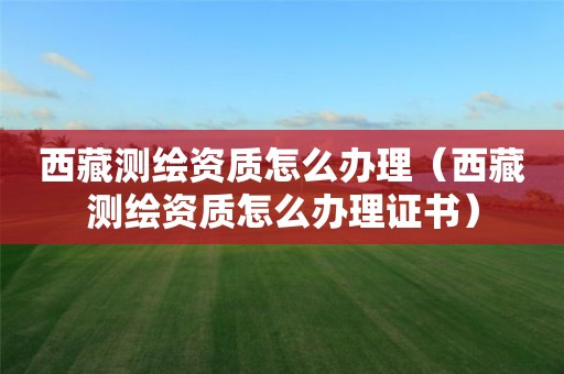 西藏測繪資質(zhì)怎么辦理（西藏測繪資質(zhì)怎么辦理證書）