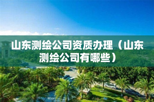 山東測繪公司資質(zhì)辦理（山東測繪公司有哪些）