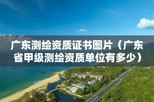 廣東測繪資質(zhì)證書圖片（廣東省甲級測繪資質(zhì)單位有多少）