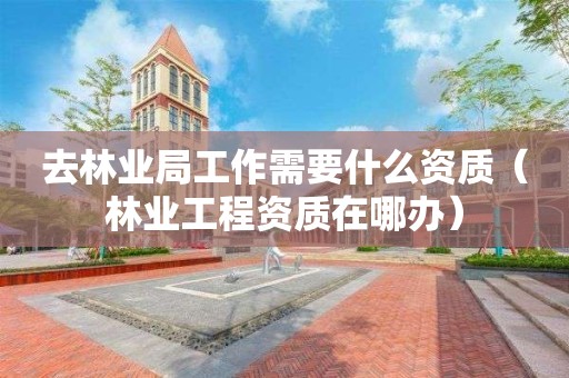 去林業(yè)局工作需要什么資質(zhì)（林業(yè)工程資質(zhì)在哪辦）