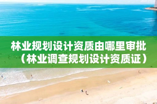 林業規劃設計資質由哪里審批（林業調查規劃設計資質證）