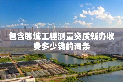 包含聊城工程測(cè)量資質(zhì)新辦收費(fèi)多少錢(qián)的詞條