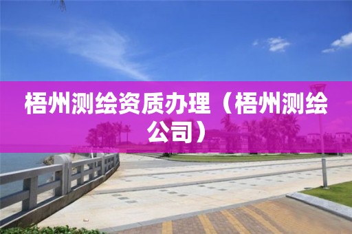 梧州測繪資質(zhì)辦理（梧州測繪公司）