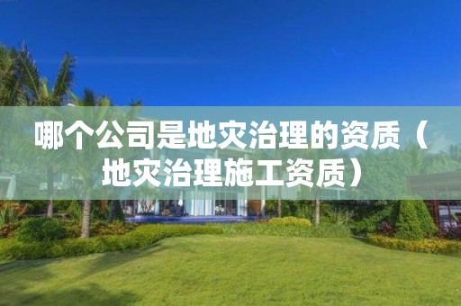哪個公司是地災治理的資質（地災治理施工資質）