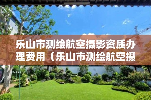 樂山市測繪航空攝影資質辦理費用（樂山市測繪航空攝影資質辦理費用多少錢）