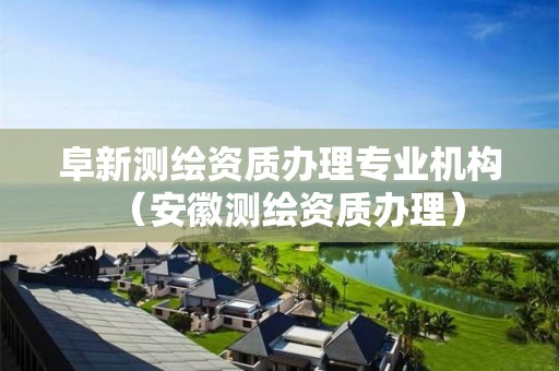 阜新測(cè)繪資質(zhì)辦理專業(yè)機(jī)構(gòu)（安徽測(cè)繪資質(zhì)辦理）