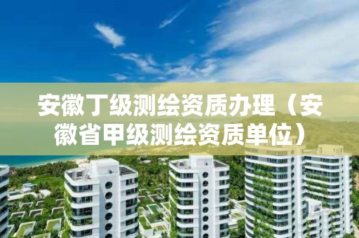 安徽丁級測繪資質辦理（安徽省甲級測繪資質單位）