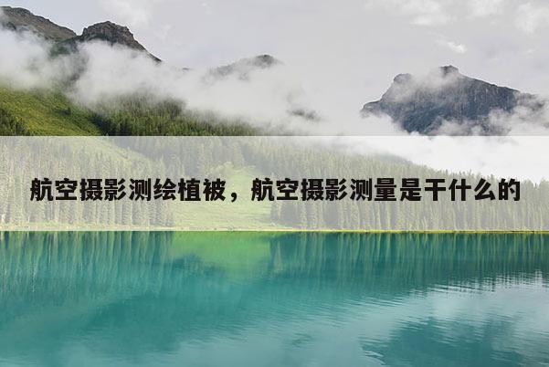 航空攝影測繪植被，航空攝影測量是干什么的