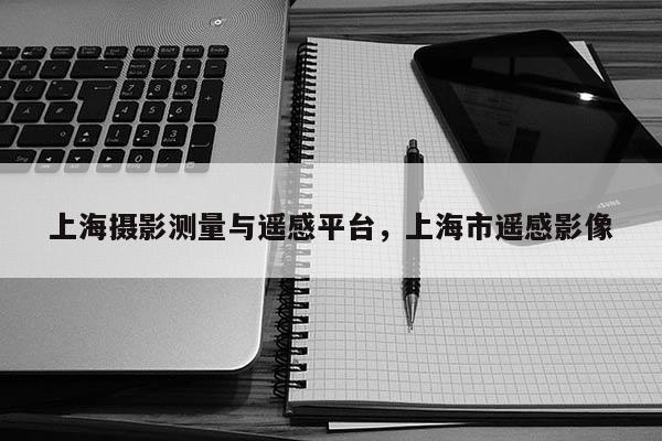 上海攝影測(cè)量與遙感平臺(tái)，上海市遙感影像
