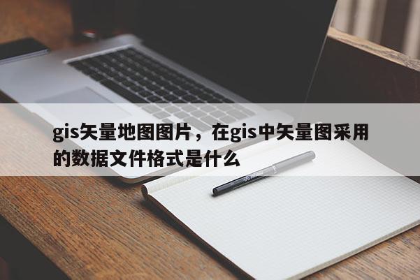 gis矢量地圖圖片，在gis中矢量圖采用的數據文件格式是什么