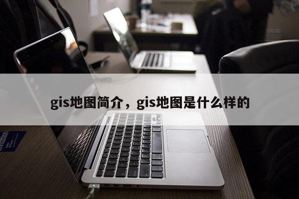gis地圖簡介，gis地圖是什么樣的