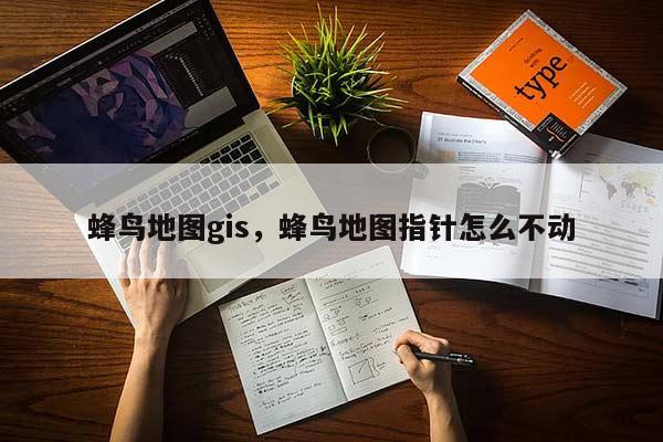 蜂鳥地圖gis，蜂鳥地圖指針怎么不動