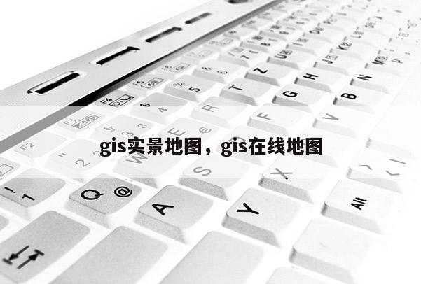 gis實景地圖，gis在線地圖