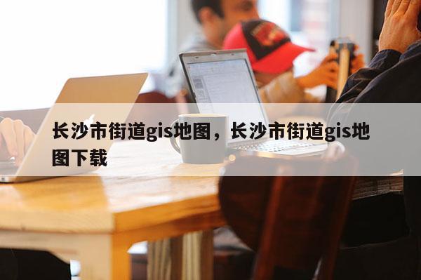 長沙市街道gis地圖，長沙市街道gis地圖下載
